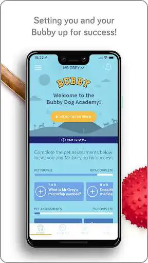Play Bubby Dog Academy  and enjoy Bubby Dog Academy with UptoPlay
