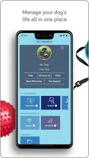 Play Bubby Dog Academy as an online game Bubby Dog Academy with UptoPlay