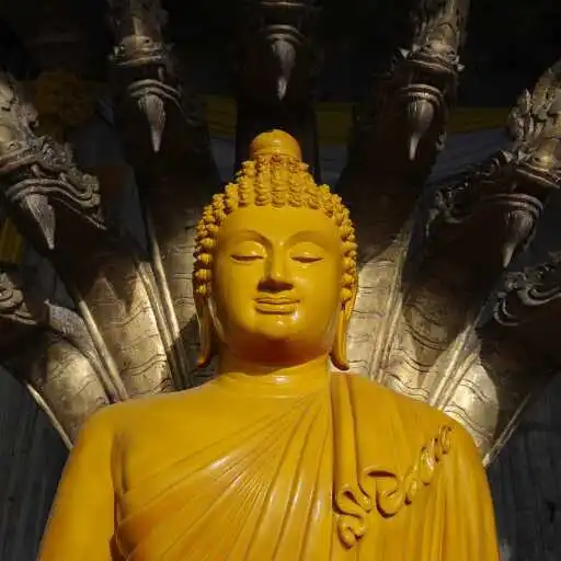 Play Budda Wallpaper APK