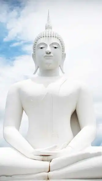 Play Budda Wallpaper and enjoy Budda Wallpaper with UptoPlay Play Budda Wallpaper and enjoy Budda Wallpaper with UptoPlay