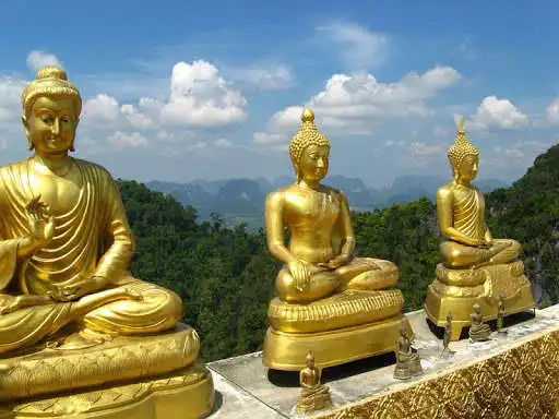 Play Budda Wallpapers