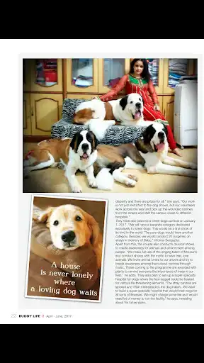 Play Buddy Life as an online game Buddy Life with UptoPlay