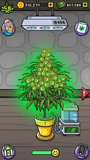 Play Bud Farm: Grass Roots and enjoy Bud Farm: Grass Roots with UptoPlay Play Bud Farm: Grass Roots and enjoy Bud Farm: Grass Roots with UptoPlay