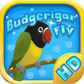 Free play online Budgerigar Fly APK Free play online Budgerigar Fly APK