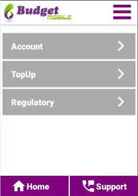 Play Budget Mobile Play Budget Mobile