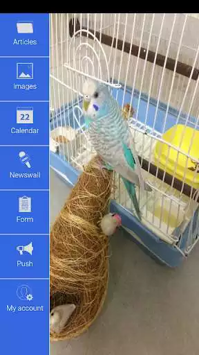 Play APK Budgie:Life Activities And Fun World Of Budgies  and enjoy Budgie:Life Activities And Fun World Of Budgies using ApkOnl