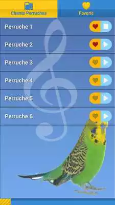 Play Budgies Song
