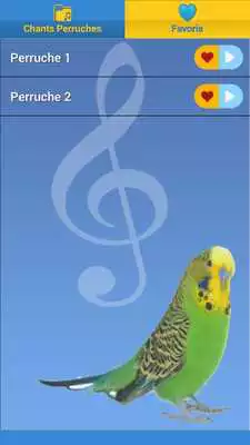 Play Budgies Song