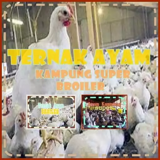 Play Budidaya Ayam APK Play Budidaya Ayam APK