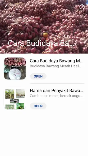 Play Budidaya Bawang Merah/Melon as an online game Budidaya Bawang Merah/Melon with UptoPlay