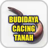 Free play online Budidaya Cacing Tanah APK