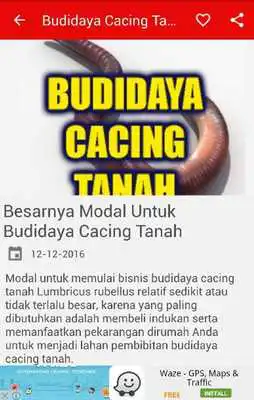 Play Budidaya Cacing Tanah