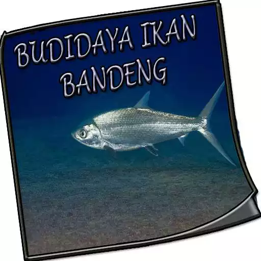 Play Budidaya Ikan Bandeng APK Play Budidaya Ikan Bandeng APK