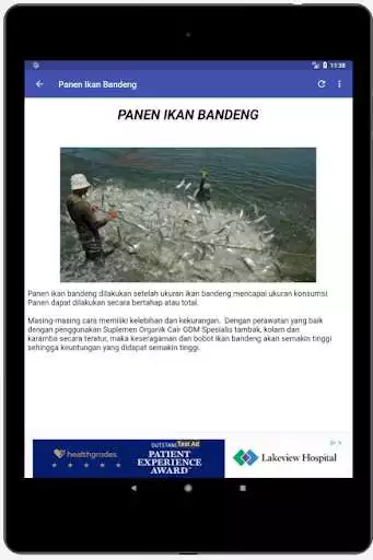 Play Budidaya Ikan Bandeng as an online game Budidaya Ikan Bandeng with UptoPlay