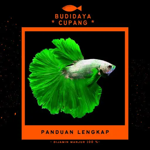 Play Budidaya Ikan Cupang Hias Lengkap APK