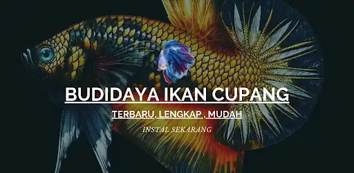 Play Budidaya Ikan Cupang Hias Lengkap  and enjoy Budidaya Ikan Cupang Hias Lengkap with UptoPlay