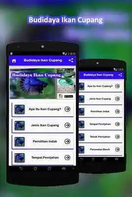 Play Budidaya Ikan Cupang Play Budidaya Ikan Cupang