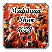 Free play online Budidaya Ikan Koi Terbaru APK Free play online Budidaya Ikan Koi Terbaru APK
