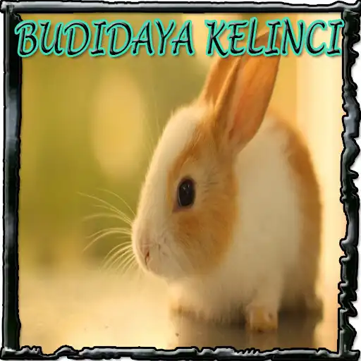 Play Budidaya Kelinci APK Play Budidaya Kelinci APK
