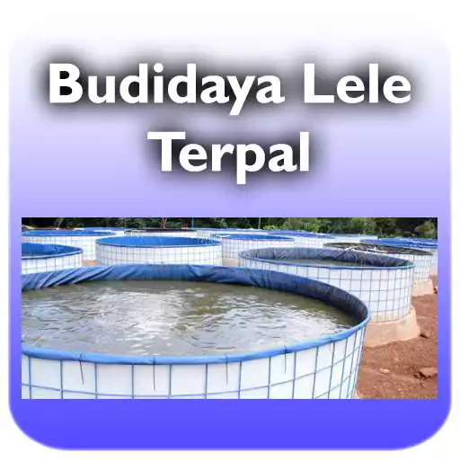 Free play online Budidaya lele terpal APK Free play online Budidaya lele terpal APK