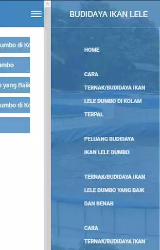 Play Budidaya lele terpal