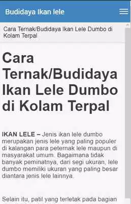 Play Budidaya lele terpal