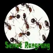 Free play online Budidaya Semut Rangrang APK