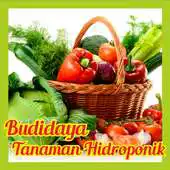 Free play online Budidaya Tanaman Hidroponik APK Free play online Budidaya Tanaman Hidroponik APK