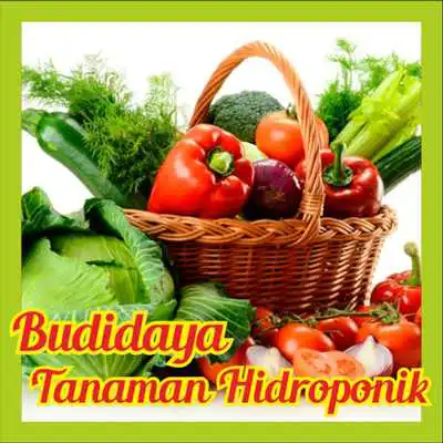 Play Budidaya Tanaman Hidroponik
