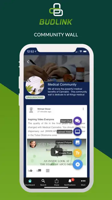 Play BudLink as an online game BudLink with UptoPlay