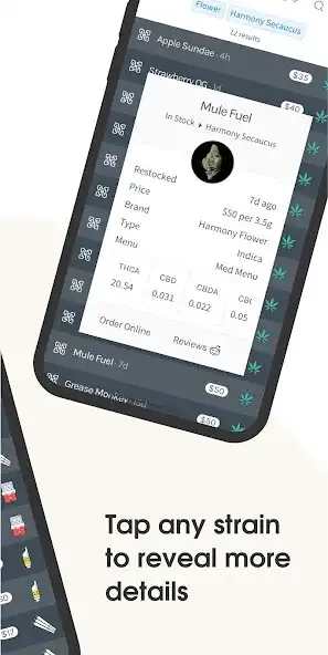 Play BudWatcher: Find Cannabis as an online game BudWatcher: Find Cannabis with UptoPlay