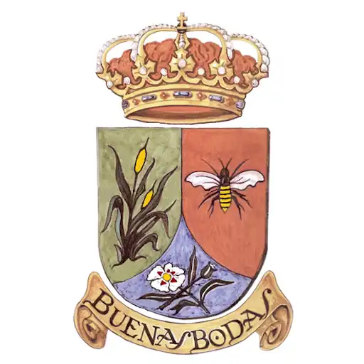 Play Buenasbodas de la Jara Informa APK