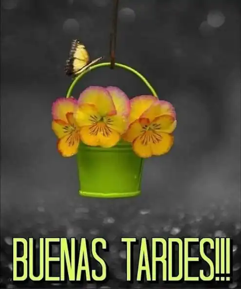 Play Buenas Noches GIF2023  and enjoy Buenas Noches GIF2023 with UptoPlay