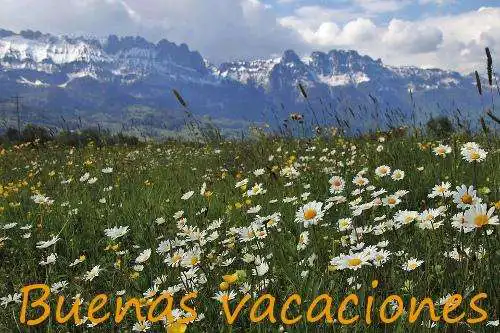 Play Buenas vacaciones and enjoy Buenas vacaciones with UptoPlay Play Buenas vacaciones and enjoy Buenas vacaciones with UptoPlay