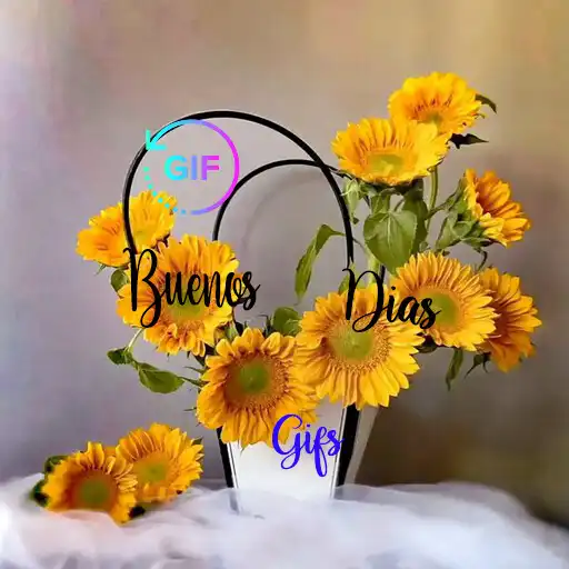 Play Buenos días - Morning 2023 GIF APK