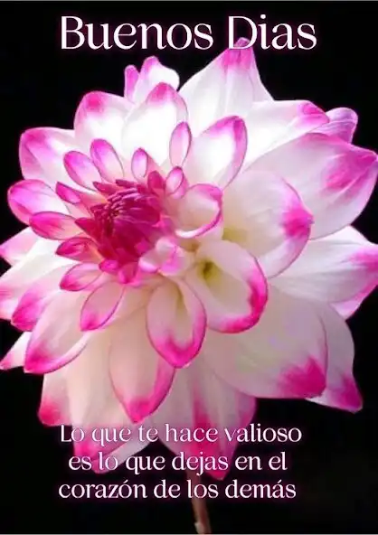 Play Buenos días as an online game Buenos días with UptoPlay