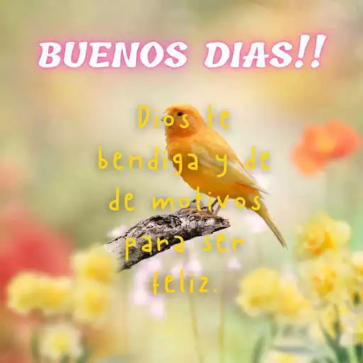 Play buenos días tardes y noches as an online game buenos días tardes y noches with UptoPlay