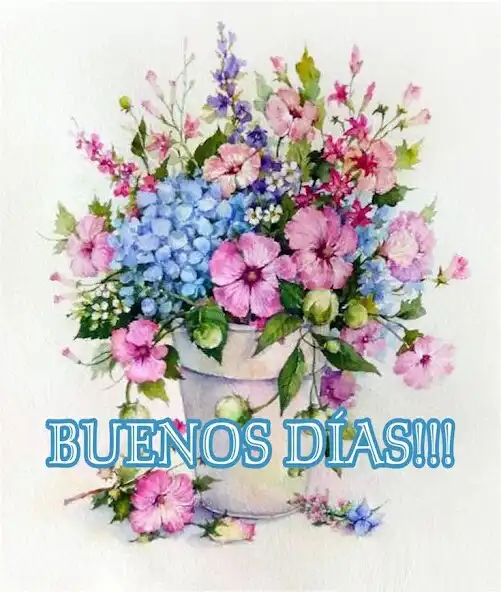 Play Buenos Dias Noches Tardes 2023  and enjoy Buenos Dias Noches Tardes 2023 with UptoPlay