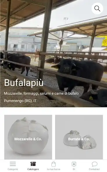 Play Bufalapiù  and enjoy Bufalapiù with UptoPlay