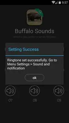 Play Buffalo  Bison Sounds