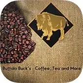 Free play online Buffalo Bucks Coffee House APK Free play online Buffalo Bucks Coffee House APK