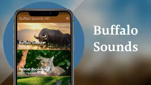 Play Buffalo Sounds as an online game Buffalo Sounds with UptoPlay