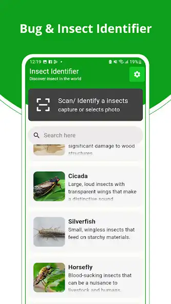 Play Bug and Insect Identifier  and enjoy Bug and Insect Identifier with UptoPlay