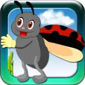 Free play online Bug Catch APK