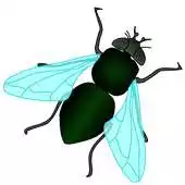 Free play online BugFly Sound APK