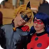 Free play online Bug Ladybug Cat 2017 APK