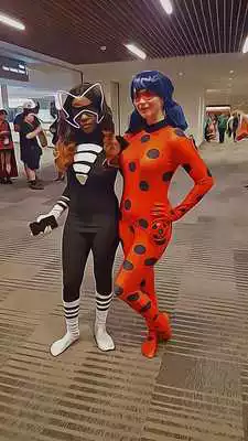 Play Bug Ladybug Cat 2017