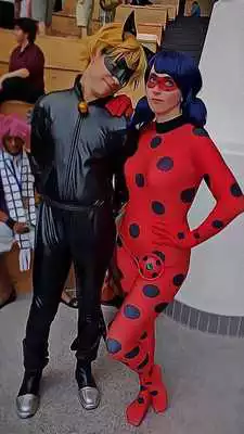 Play Bug Ladybug Cat 2017