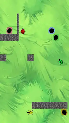Play Bugs Game and enjoy Bugs Game with UptoPlay Play Bugs Game and enjoy Bugs Game with UptoPlay