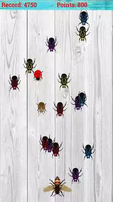 Play Bug Smasher